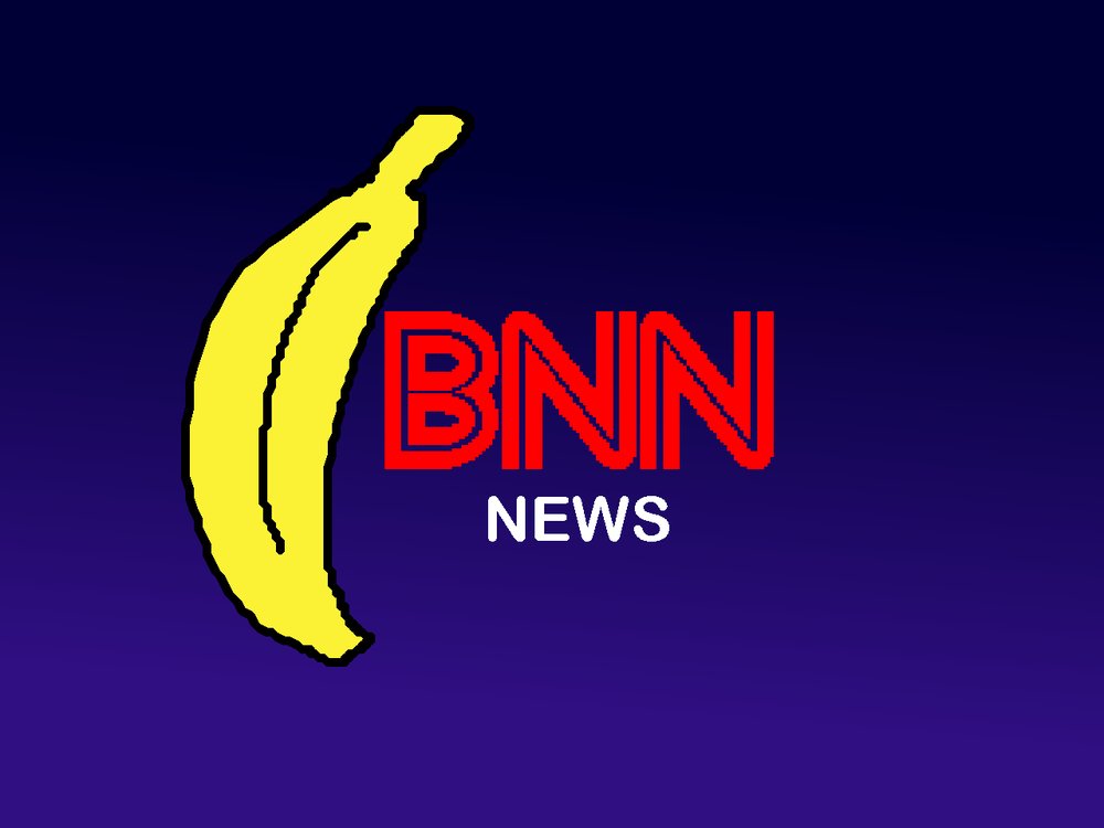 The BNN logo
